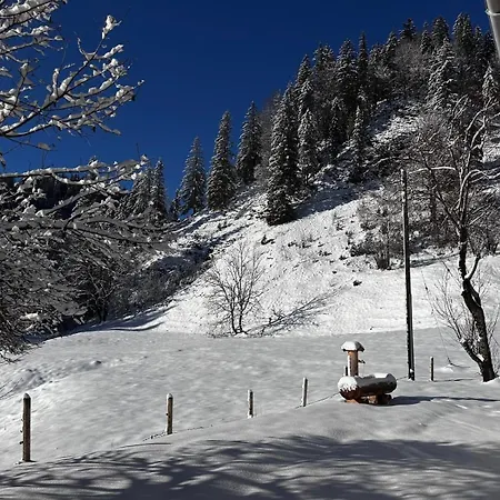 Σαλέ Mitteralm-kreuth *